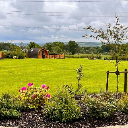 Cairnfold Cabins Kilsyth Exterior foto